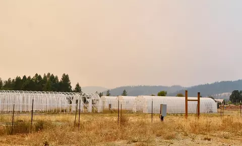 240 Garner Rd, Cave Junction, OR 97523 photo 11