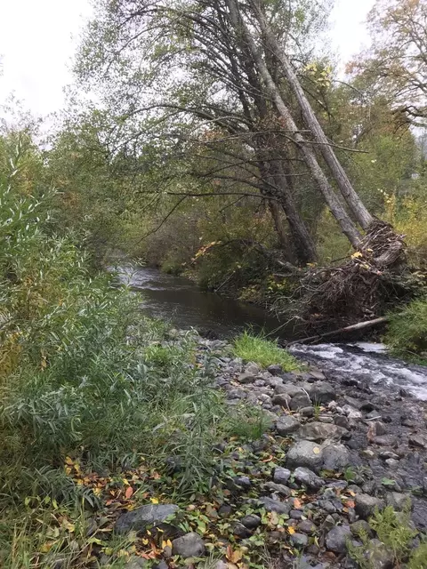 947 Pine St, Rogue River, OR 97537 photo 28