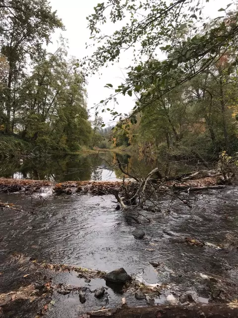 947 Pine St, Rogue River, OR 97537 photo 30