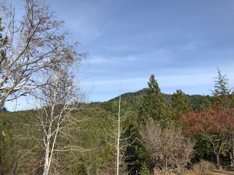 13679 Evans Creek Rd, Rogue River, OR 97537 photo 5