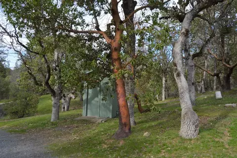 1319 Upper Applegate Rd, Jacksonville, OR 97530 photo 3