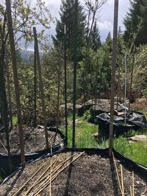 10000 Arrowhead Dr, O'brien, OR 97534 photo 18