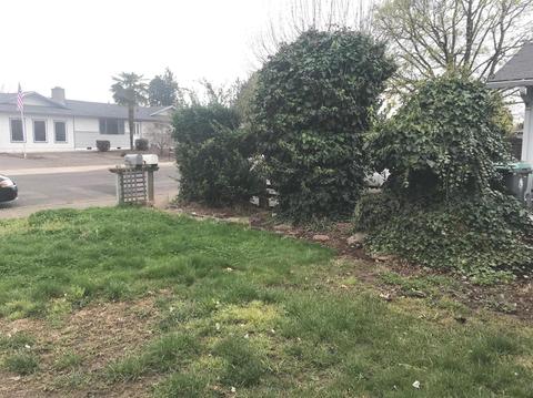 2947 Ruby Dr, Medford, OR 97504 photo 3