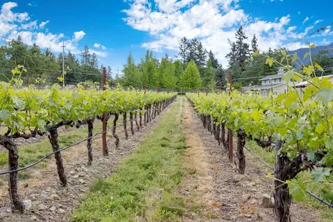 9155 Applegate Rd, Grants Pass, OR 97527 photo 5