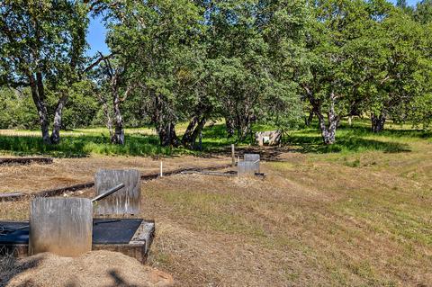 4130 Thompson Creek Rd, Applegate, OR 97530 photo 100