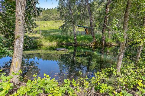 4130 Thompson Creek Rd, Applegate, OR 97530 photo 83