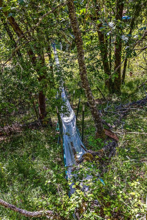 4130 Thompson Creek Rd, Applegate, OR 97530 photo 97