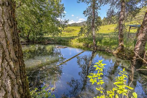 4130 Thompson Creek Rd, Applegate, OR 97530 photo 81