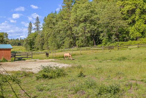 4130 Thompson Creek Rd, Applegate, OR 97530 photo 78
