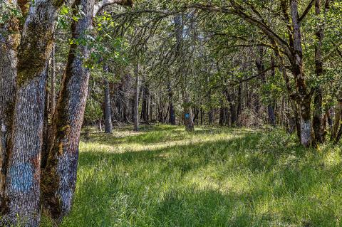 4130 Thompson Creek Rd, Applegate, OR 97530 photo 47