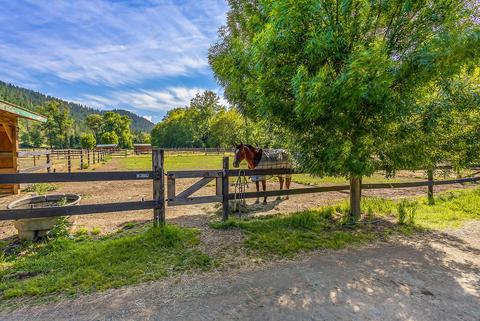 4130 Thompson Creek Rd, Applegate, OR 97530 photo 64