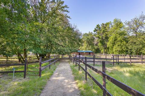 4130 Thompson Creek Rd, Applegate, OR 97530 photo 57