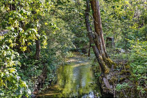 4130 Thompson Creek Rd, Applegate, OR 97530 photo 87