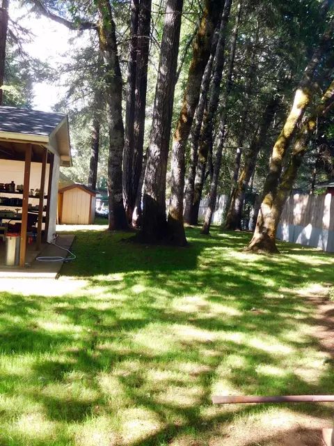 209 Shadowbrook Dr, Cave Junction, OR 97523 photo 20