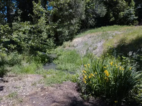 517 Morey Rd, Talent, OR 97540 photo 15