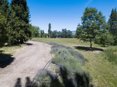 517 Morey Rd, Talent, OR 97540 photo 12