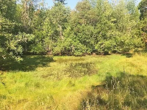 14200 E Antelope Rd, Eagle Point, OR 97524 photo 16