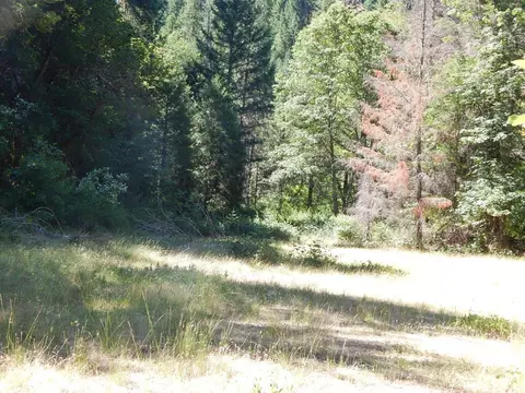 52 Dodes Creek Rd, Trail, OR 97541 photo 14