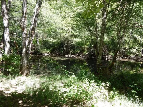 52 Dodes Creek Rd, Trail, OR 97541 photo 6