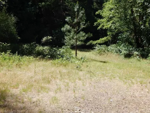 52 Dodes Creek Rd, Trail, OR 97541 photo 15