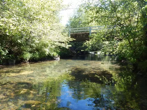 52 Dodes Creek Rd, Trail, OR 97541 photo 2