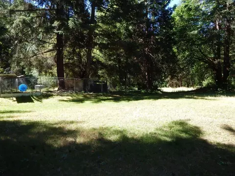 52 Dodes Creek Rd, Trail, OR 97541 photo 9