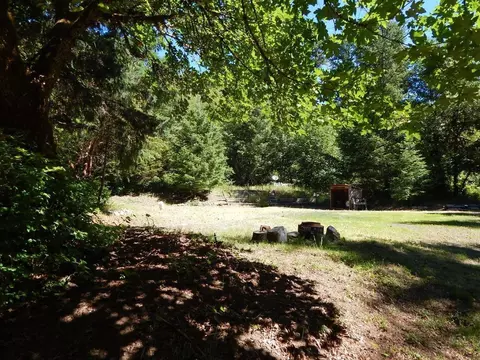 52 Dodes Creek Rd, Trail, OR 97541 photo 5