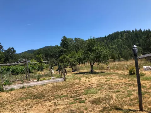 308 Mona Way, Cave Junction, OR 97523 photo 10