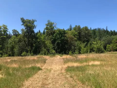 308 Mona Way, Cave Junction, OR 97523 photo 17