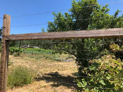 308 Mona Way, Cave Junction, OR 97523 photo 11
