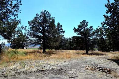 420 Montezuma, Macdoel, CA 96058 photo 22