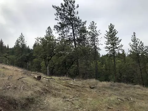 375 White Tail Dr, Eagle Point, OR 97524 photo 9