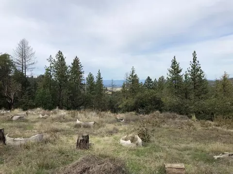 375 White Tail Dr, Eagle Point, OR 97524 photo 7