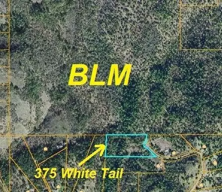375 White Tail Dr, Eagle Point, OR 97524 photo 5