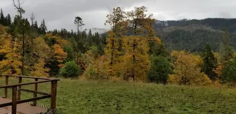 755 Elder Mill Rd, Trail, OR 97541 photo 15