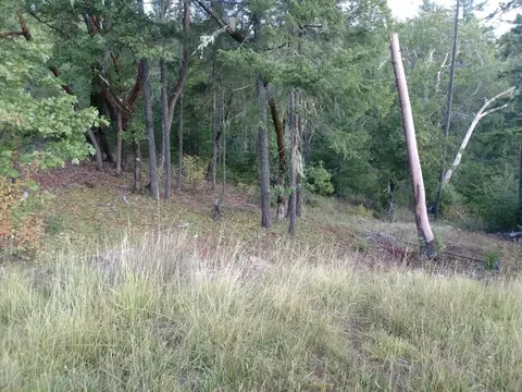 755 Elder Mill Rd, Trail, OR 97541 photo 19