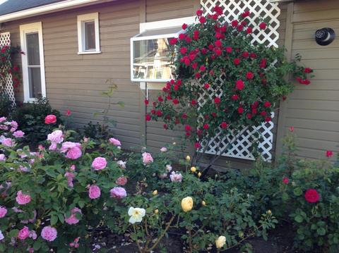 2176 Vilas Rd, Central Point, OR 97502 photo 32