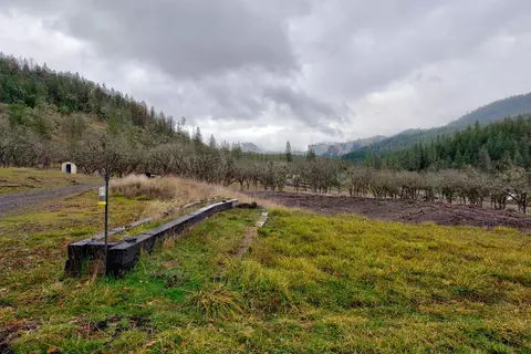10691 E Antelope Rd, Eagle Point, OR 97524 photo 5