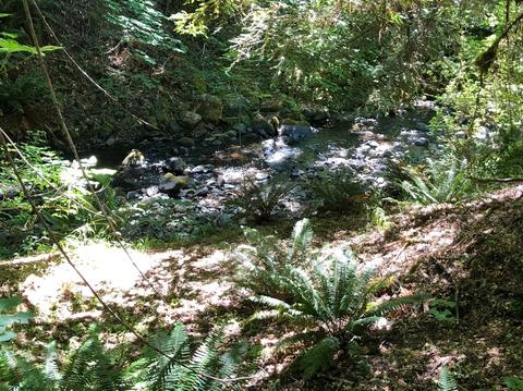 4400 Cedar Flat Rd, Williams, OR 97544 photo 11