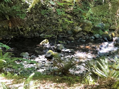 4400 Cedar Flat Rd, Williams, OR 97544 photo 3