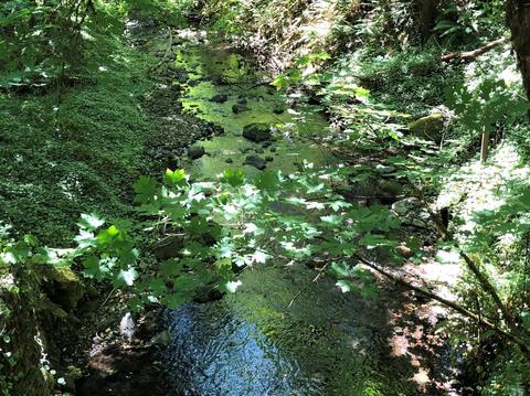 4400 Cedar Flat Rd, Williams, OR 97544 photo 24