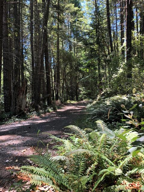 4400 Cedar Flat Rd, Williams, OR 97544 photo 22