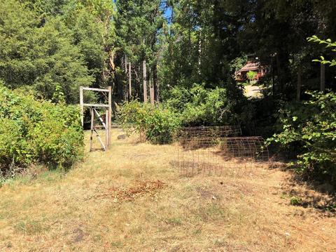 4400 Cedar Flat Rd, Williams, OR 97544 photo 21