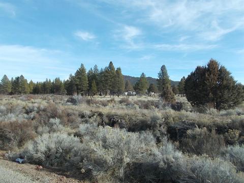 46408 Sycan Rd, Beatty, OR 97621 photo 21