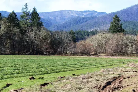 2083 Marcy Loop Rd, Grants Pass, OR 97527 photo 14