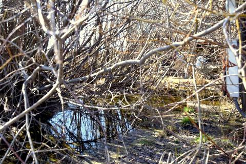 39441 Modoc Point Rd, Chiloquin, OR 97624 photo 36