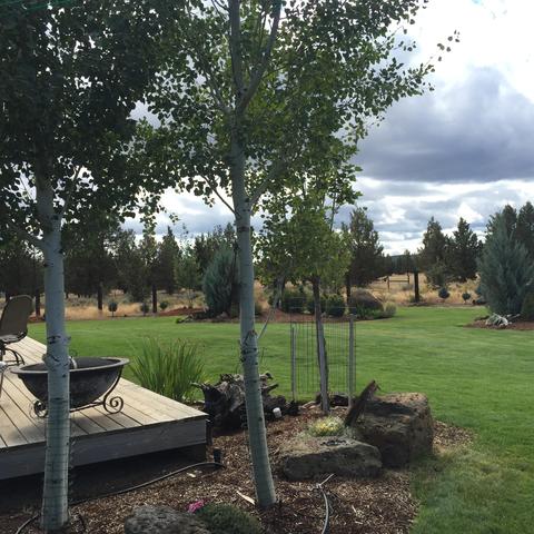 67157 Harrington Loop Rd, Bend, OR 97703 photo 3