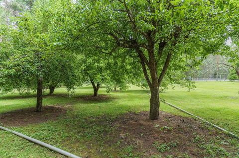 1640 Cedar Flat Rd, Williams, OR 97544 photo 30