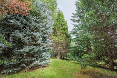 1640 Cedar Flat Rd, Williams, OR 97544 photo 26