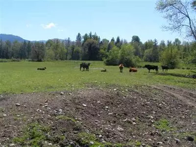 3773 Holland Loop Rd, Cave Junction, OR 97523 photo 5